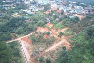 Cảnh báo tình trạng phân lô đất rừng, đất nông nghiệp làm du lịch dạng farmstay 