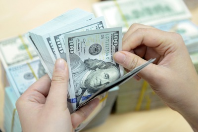 VND sẽ giảm giá không quá 3% so với USD