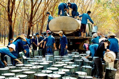 Nâng cao năng lực cạnh tranh của sản phẩm cao su Việt Nam
