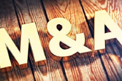 Vì sao thị trường vắng các thương vụ M&A lớn?