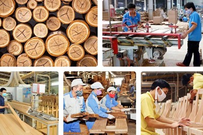 Mạnh tay với hàng hóa xuất khẩu gian lận, lẩn tránh thuế chống bán phá giá