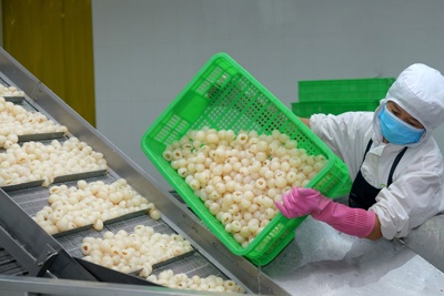"Giải cứu" nông sản giữa dịch COVID-19: Trông chờ kho lạnh và chế biến sâu