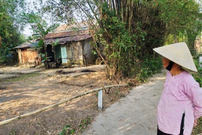 Ôm tiền về quê buôn đất, sốt giá tăng gấp 3 tháng kiếm đôi tỷ