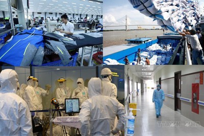 BHXH Việt Nam: Dồn lực gỡ khó cho doanh nghiệp trước đại dịch