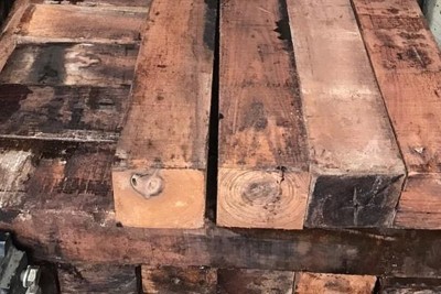 Hải quan: Bắt giữ 60 container gỗ quý nhập khẩu vào Việt Nam