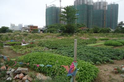 Không để đất nông nghiệp làm dự án nhà ở thương mại
