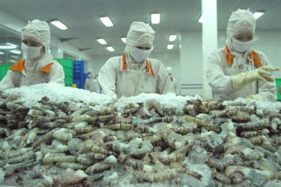31 doanh nghiệp Việt Nam xuất khẩu tôm sang Mỹ hưởng mức thuế 0%
