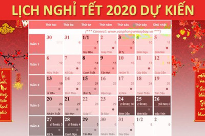 Hai phương án nghỉ Tết âm lịch 2020