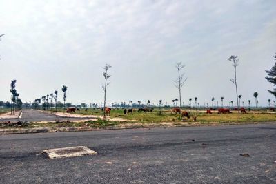 Sau sốt đất, nhiều dự án không bóng người