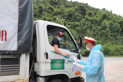 Trục lợi từ giấy thông hành, thẻ luồng xanh: Thiếu cơ chế giám sát