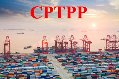 Vì đâu lợi ích từ CPTPP nằm trên giấy?