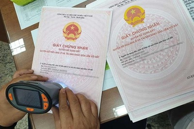Cần tăng nặng mức xử phạt làm giả sổ đỏ