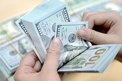 Ngân hàng Nhà nước đã mua vào bao nhiêu ngoại tệ?