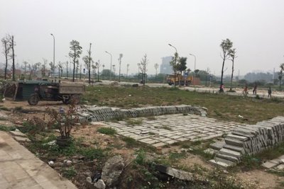Rủi ro mua đất không chính chủ