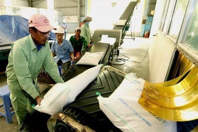 Doanh nghiệp đã có "giấy thông hành" cho gạo thơm vào EU