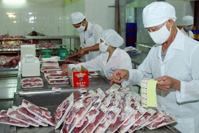 9 tỉnh, thành phố thí điểm thực hiện thanh tra chuyên ngành an toàn thực phẩm