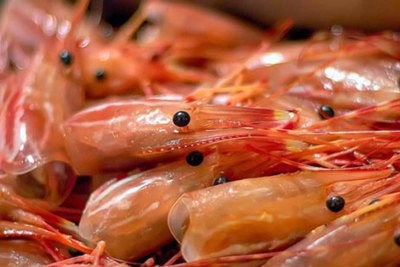 Đánh rơi tỷ đô vì bỏ phí phụ phẩm