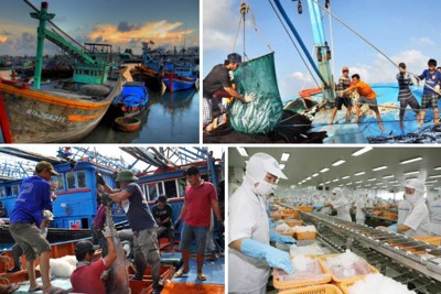 Gỡ cảnh báo “thẻ vàng” của EC, bảo vệ uy tín ngành Thủy sản Việt Nam