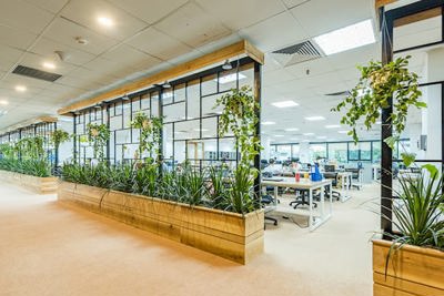 Những yếu tố cần lưu ý khi thiết kế văn phòng xanh