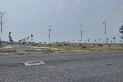 Sẽ hết cảnh chủ đầu tư ôm đất bỏ hoang?