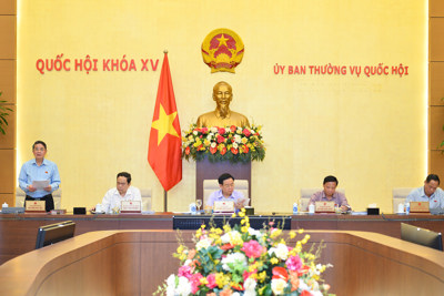 Phân cấp quản lý cho các Bộ, ban, ngành đảm bảo các quy định của Luật