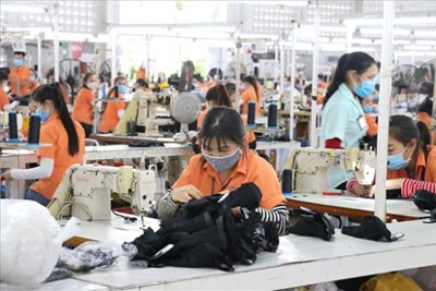 Tạo đột phá về bao phủ bảo hiểm xã hội