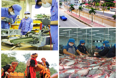 Tăng cường vai trò thực hiện an sinh xã hội  của doanh nghiệp Việt Nam