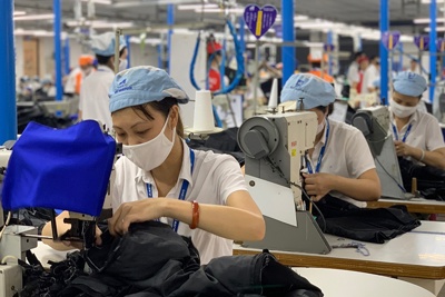  Sẵn sàng triển khai gói chính sách hỗ trợ từ Quỹ bảo hiểm thất nghiệp đúng tiến độ