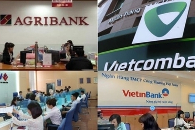 Tăng vốn điều lệ cho các ngân hàng Big 4 theo phương án nào?