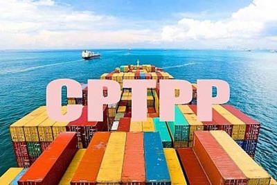 Quy định chứng từ chứng nhận xuất xứ hàng hóa xuất khẩu, nhập khẩu