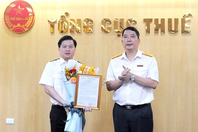 Tổng cục Thuế bổ nhiệm Vụ trưởng Vụ Tổ chức cán bộ