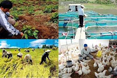 Đề xuất sửa đổi quy định về phí trong chính sách tín dụng phát triển nông nghiệp, nông thôn