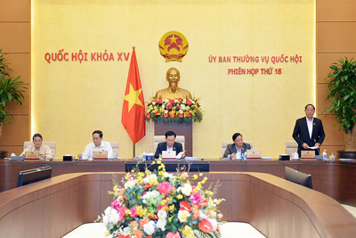 Trình Quốc hội việc thí điểm cấp quyền lựa chọn sử dụng biển số ô tô thông qua đấu giá