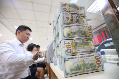 Thấy gì từ việc Ngân hàng Nhà nước bán 21 tỷ USD dự trữ ngoại hối?