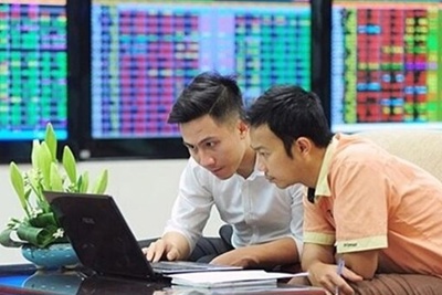 VN-Index đã thực sự tạo đáy?