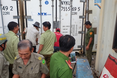  9 tháng, chống buôn lậu, gian lận thương mại thu nộp ngân sách trên 12.388 tỷ đồng