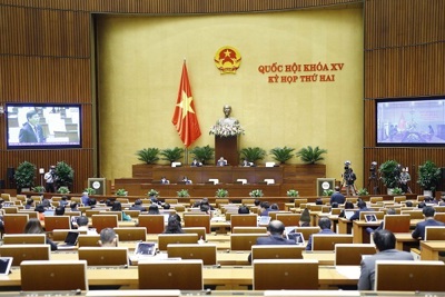 Quốc hội thảo luận dự án Luật Cảnh sát cơ động; sửa đổi, bổ sung Luật Sở hữu trí tuệ