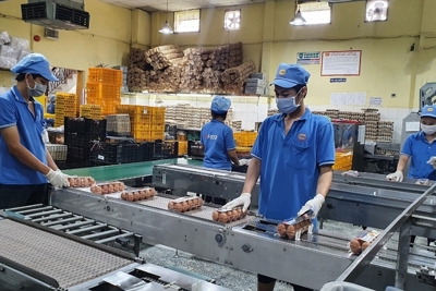 Miền Nam chủ động hàng hóa cho mùa kinh doanh cuối năm