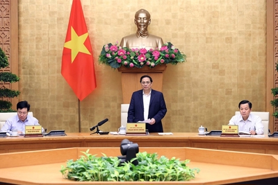 Kinh tế - xã hội khởi sắc trên hầu hết các lĩnh vực