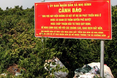 Loạn rao bán nhà đất: Làm sao ngăn chặn?