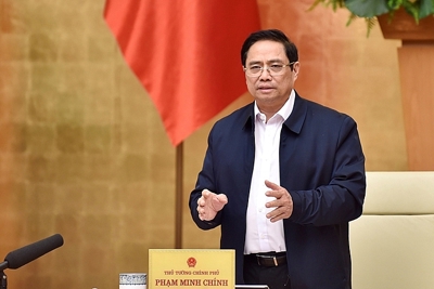 Chính phủ tập trung chỉ đạo việc xây dựng, hoàn thiện thể chế
