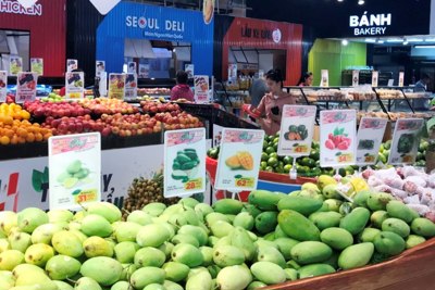 Lựa chọn mô hình để phát triển thương hiệu cho trái cây đặc sản