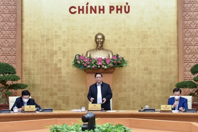 Chính phủ họp phiên thường kỳ tháng 11/2021
