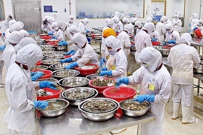Năm 2018, xuất khẩu thủy sản có thể đạt 8,8 tỷ USD