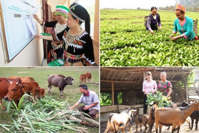 Thủ tướng Chính phủ yêu cầu khẩn trương giao kế hoạch vốn cho các chương trình mục tiêu quốc gia