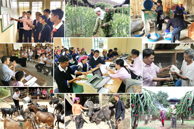 Đảm bảo an sinh xã hội cho người nông dân