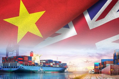 Xuất khẩu vào Anh: Cần sẵn sàng thay đổi, thích nghi để nắm bắt cơ hội