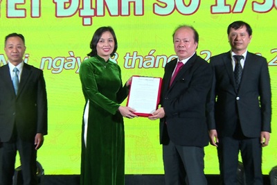 Quy mô thị trường bảo hiểm dự kiến tương đương 3,5% GDP vào năm 2025
