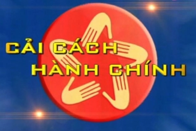 Cải cách toàn diện hệ thống hành chính thuế