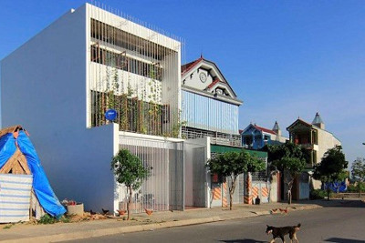 Ngôi nhà với “khu vườn đứng” độc đáo tạo không gian xanh